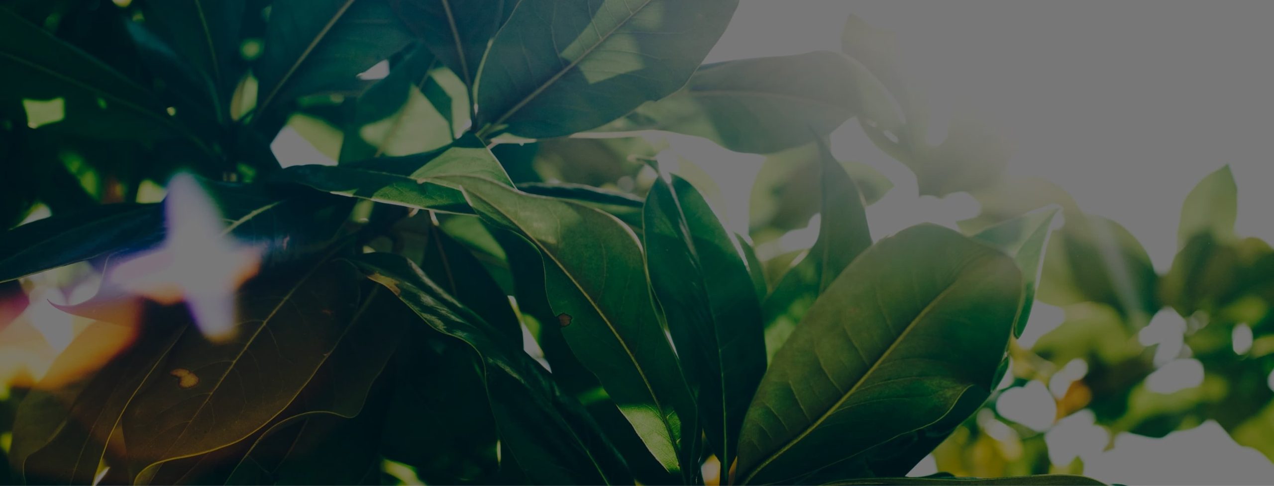  Aktuelle Hintergründe und Fakten zu den Themen im Tucherpark